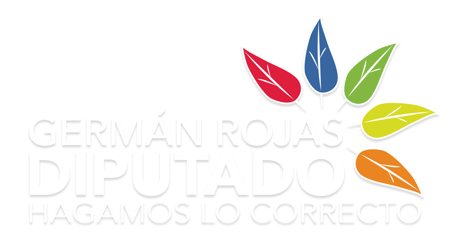 Germán Rojas Diputado